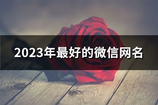 2023年最好的微信网名(共1693个)