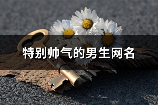 特别帅气的男生网名(精选202个)