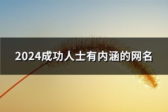 2024成功人士有内涵的网名(共204个)