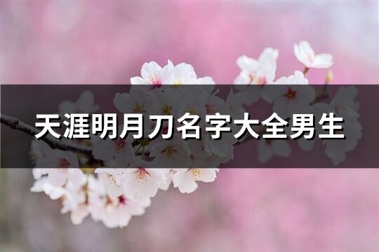 天涯明月刀名字大全男生(293个)