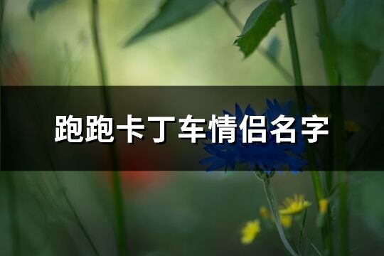 跑跑卡丁车情侣名字(63个)