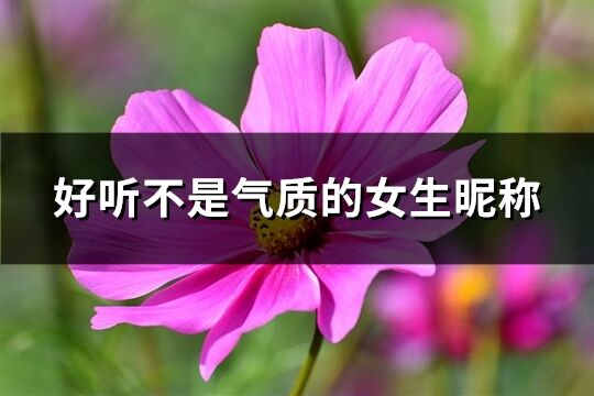 好听不是气质的女生昵称(301个)