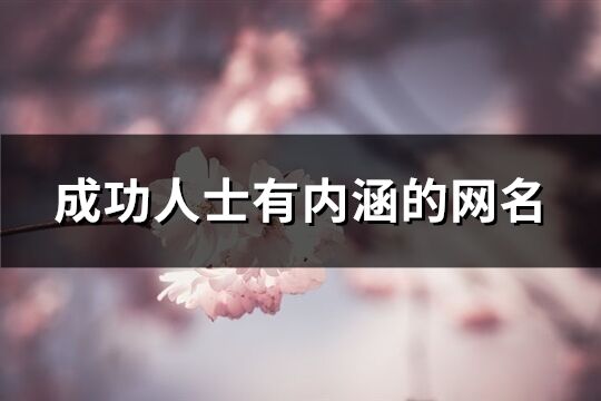 成功人士有内涵的网名(精选254个)