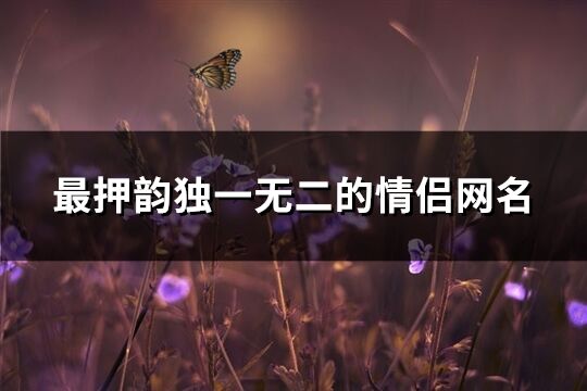 最押韵独一无二的情侣网名(共668个)