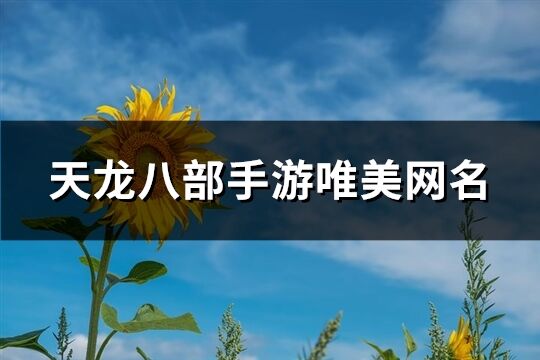 天龙八部手游唯美网名(精选262个)