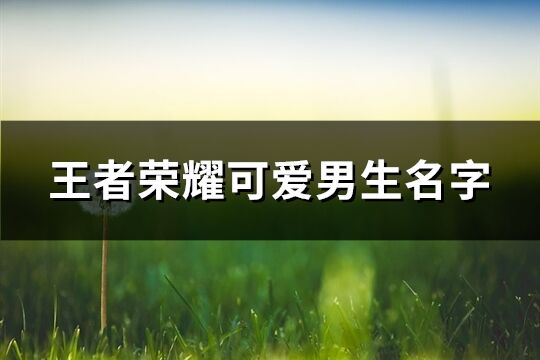 王者荣耀可爱男生名字(176个)