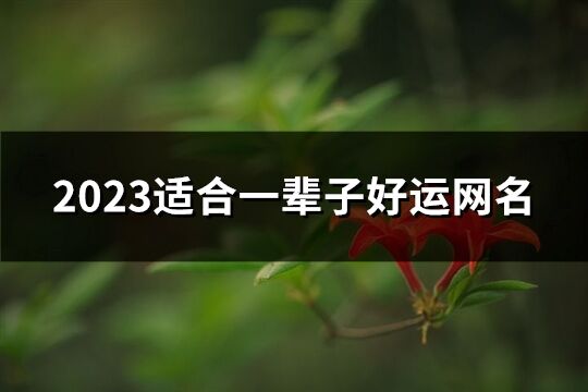 2023适合一辈子好运网名(1146个)