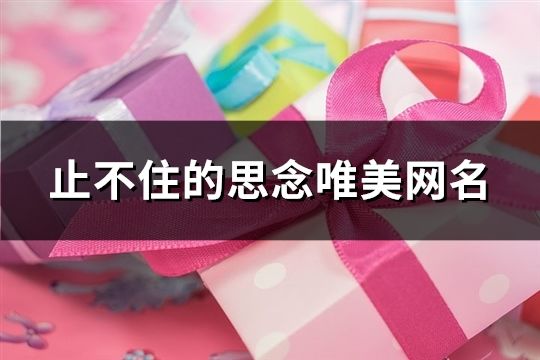 止不住的思念唯美网名(精选110个)