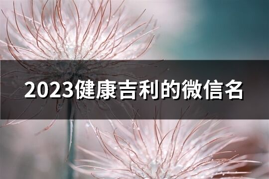 2023健康吉利的微信名(260个)