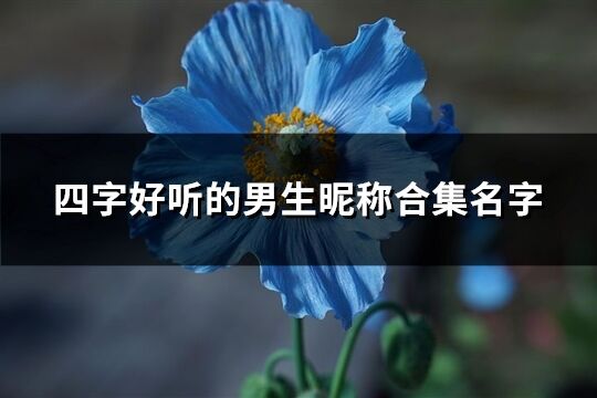 四字好听的男生昵称合集名字(共411个)