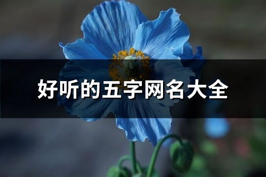 好听的五字网名大全(精选857个)