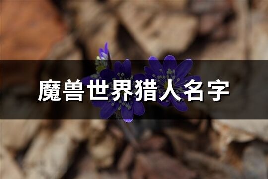 魔兽世界猎人名字(130个)