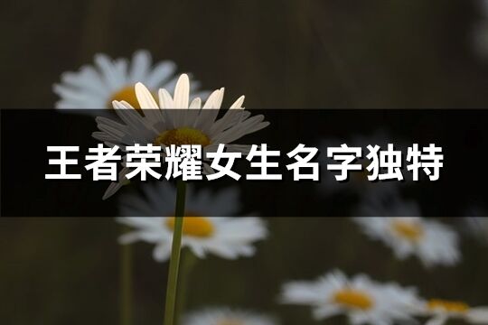 王者荣耀女生名字独特(优选737个)