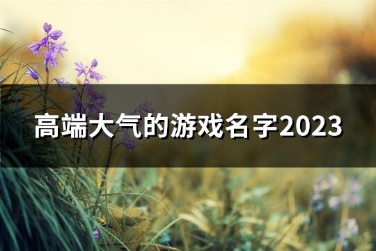 高端大气的游戏名字2023(共48个)