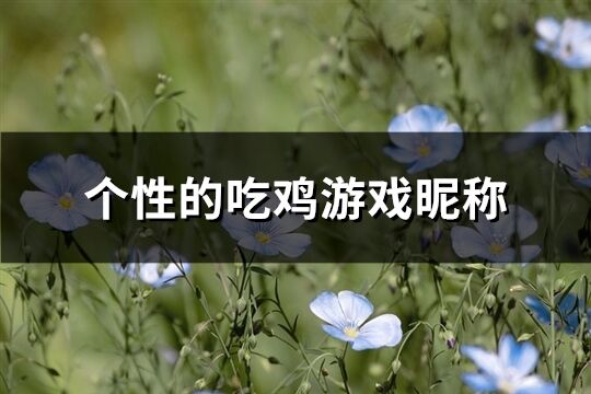 个性的吃鸡游戏昵称(优选255个)