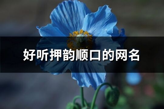 好听押韵顺口的网名(共190个)