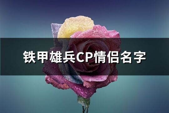 铁甲雄兵CP情侣名字(共411个)