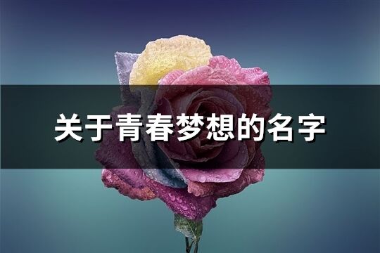 关于青春梦想的名字(共87个)