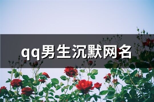 qq男生沉默网名(158个)