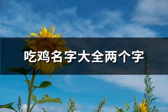 吃鸡名字大全两个字(精选828个)