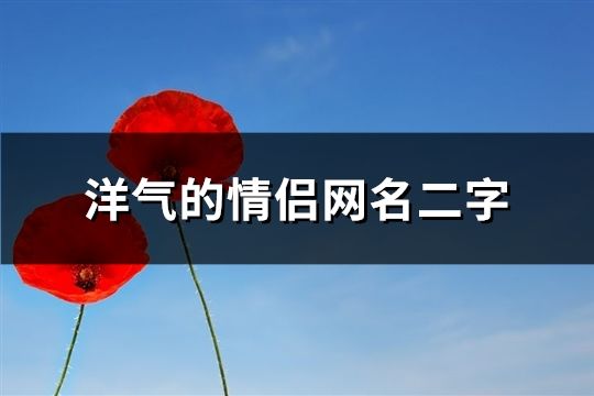 洋气的情侣网名二字(精选298个)