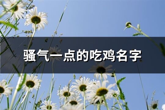 骚气一点的吃鸡名字(共163个)