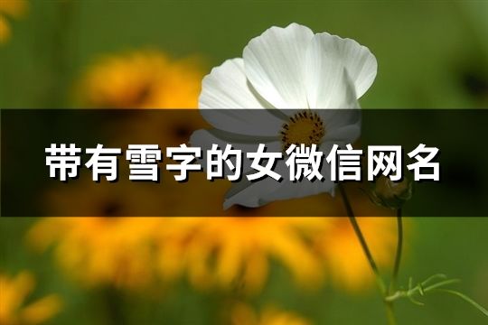 带有雪字的女微信网名(精选132个)