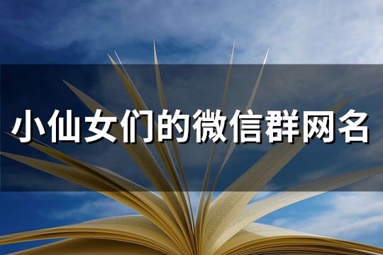 小仙女们的微信群网名(精选118个)