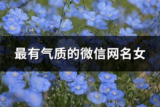 最有气质的微信网名女(共1136个)