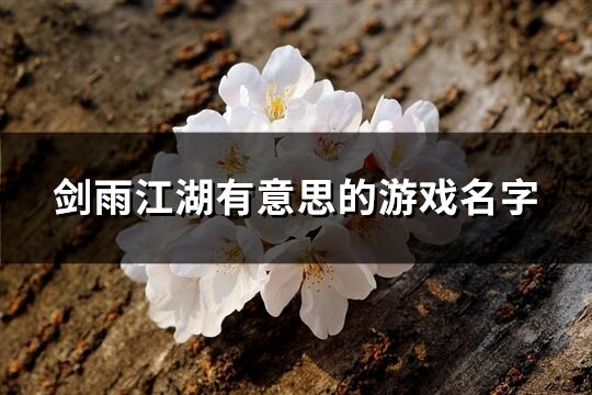 剑雨江湖有意思的游戏名字(优选173个)