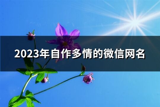 2023年自作多情的微信网名(共213个)