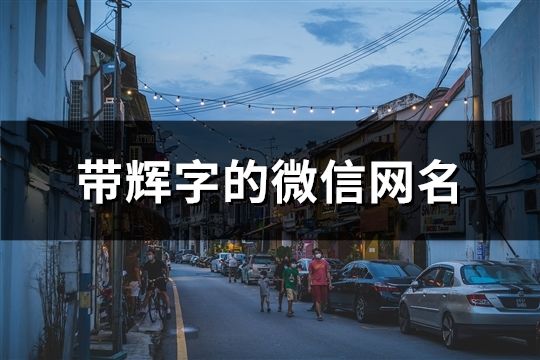 带辉字的微信网名(231个)