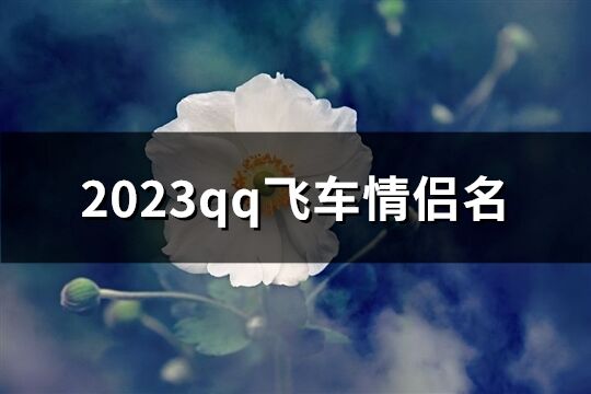 2023qq飞车情侣名(共119个)