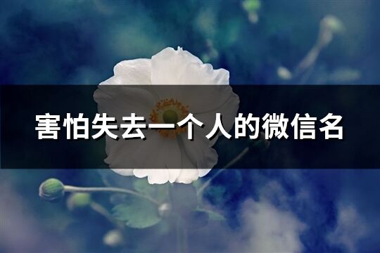 害怕失去一个人的微信名(共92个)