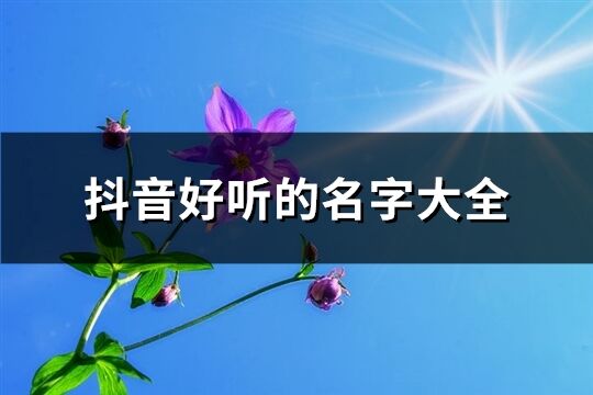 抖音好听的名字大全(精选1239个)