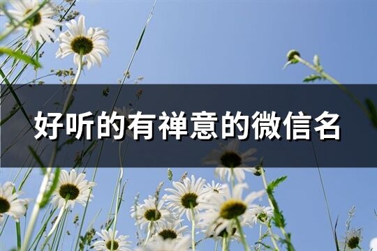 好听的有禅意的微信名(优选441个)