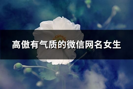 高傲有气质的微信网名女生(270个)