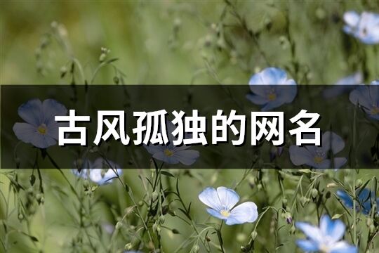 古风孤独的网名(共246个)