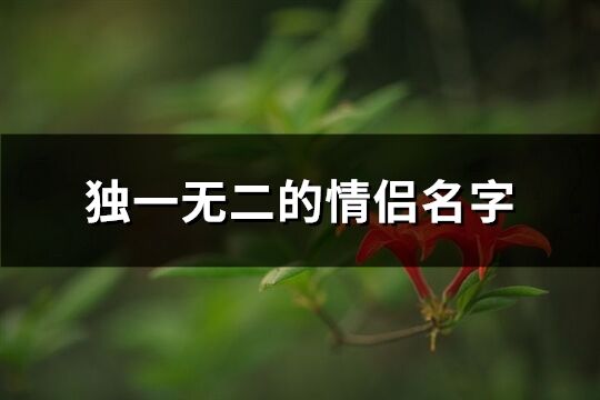 独一无二的情侣名字(共379个)