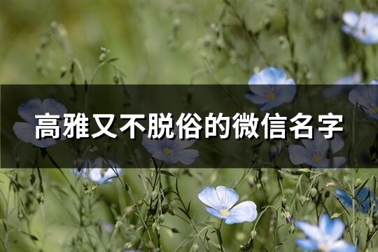 高雅又不脱俗的微信名字(共468个)