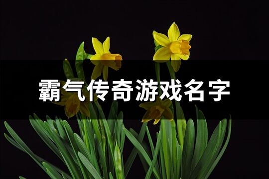 霸气传奇游戏名字(共667个)