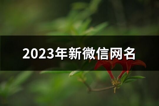 2023年新微信网名(1201个)