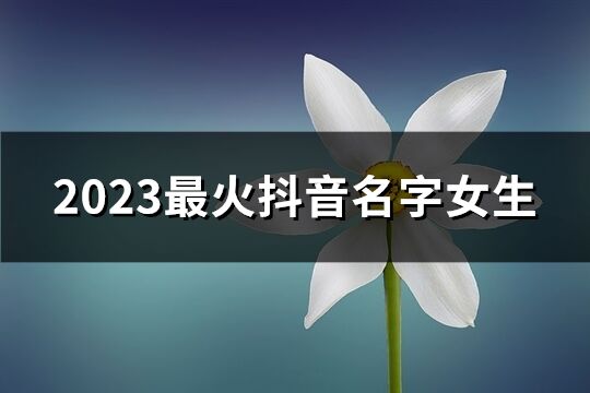 2023最火抖音名字女生(共378个)