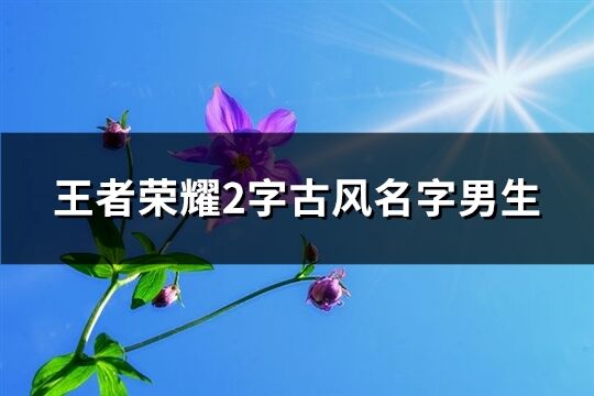 王者荣耀2字古风名字男生(优选57个)