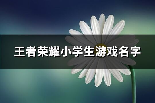 王者荣耀小学生游戏名字(81个)