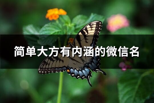 简单大方有内涵的微信名(精选668个)