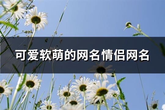 可爱软萌的网名情侣网名(225个)