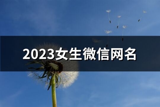 2023女生微信网名(共1216个)