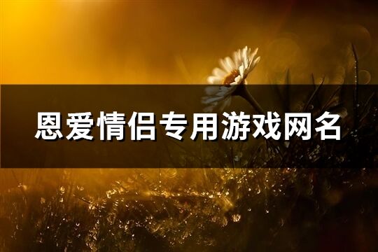 恩爱情侣专用游戏网名(精选231个)