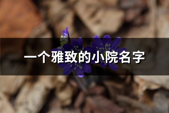 一个雅致的小院名字(精选87个)